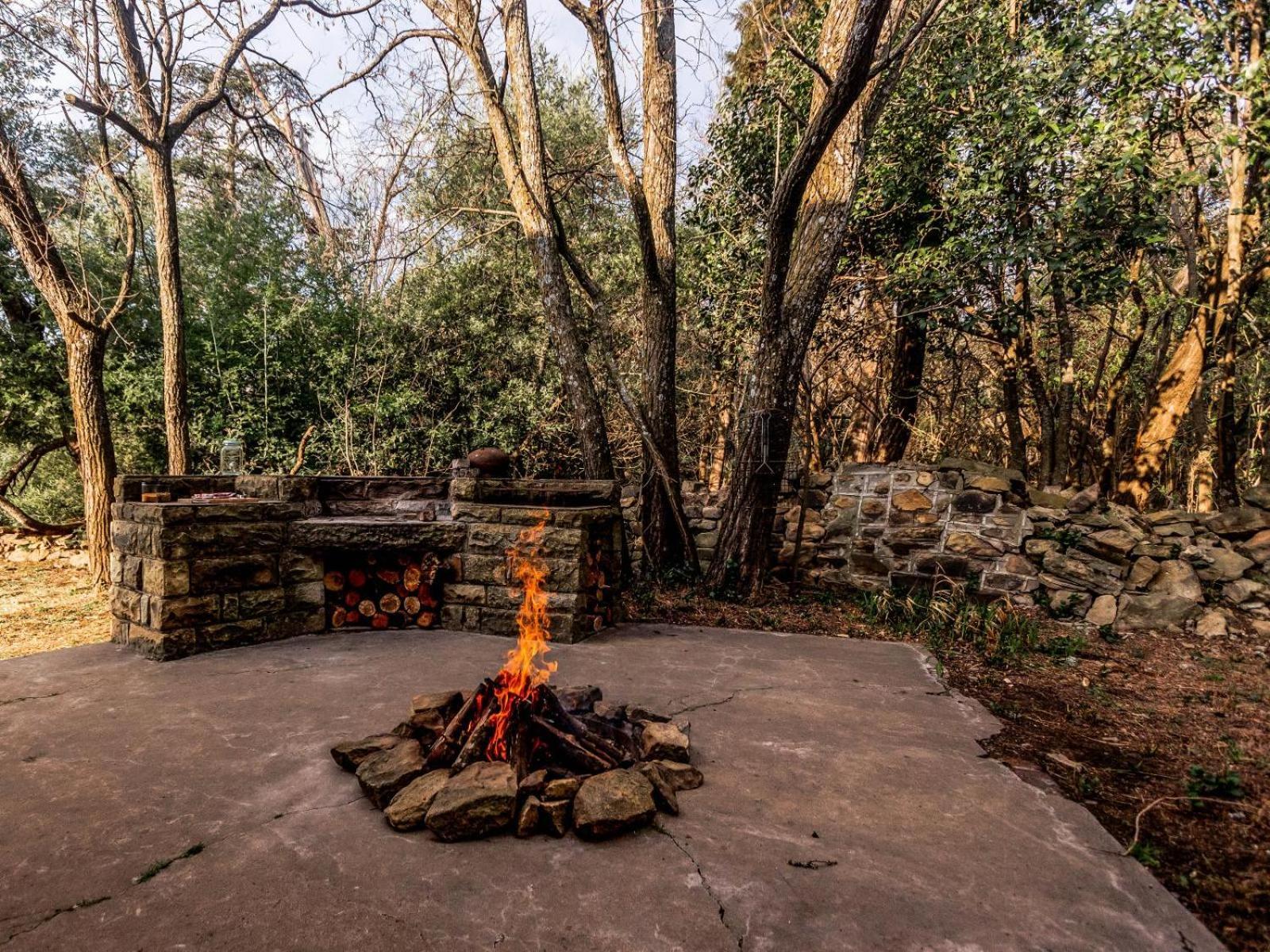 Buffalo Hills Private Game Reserve 해리스미스 객실 사진