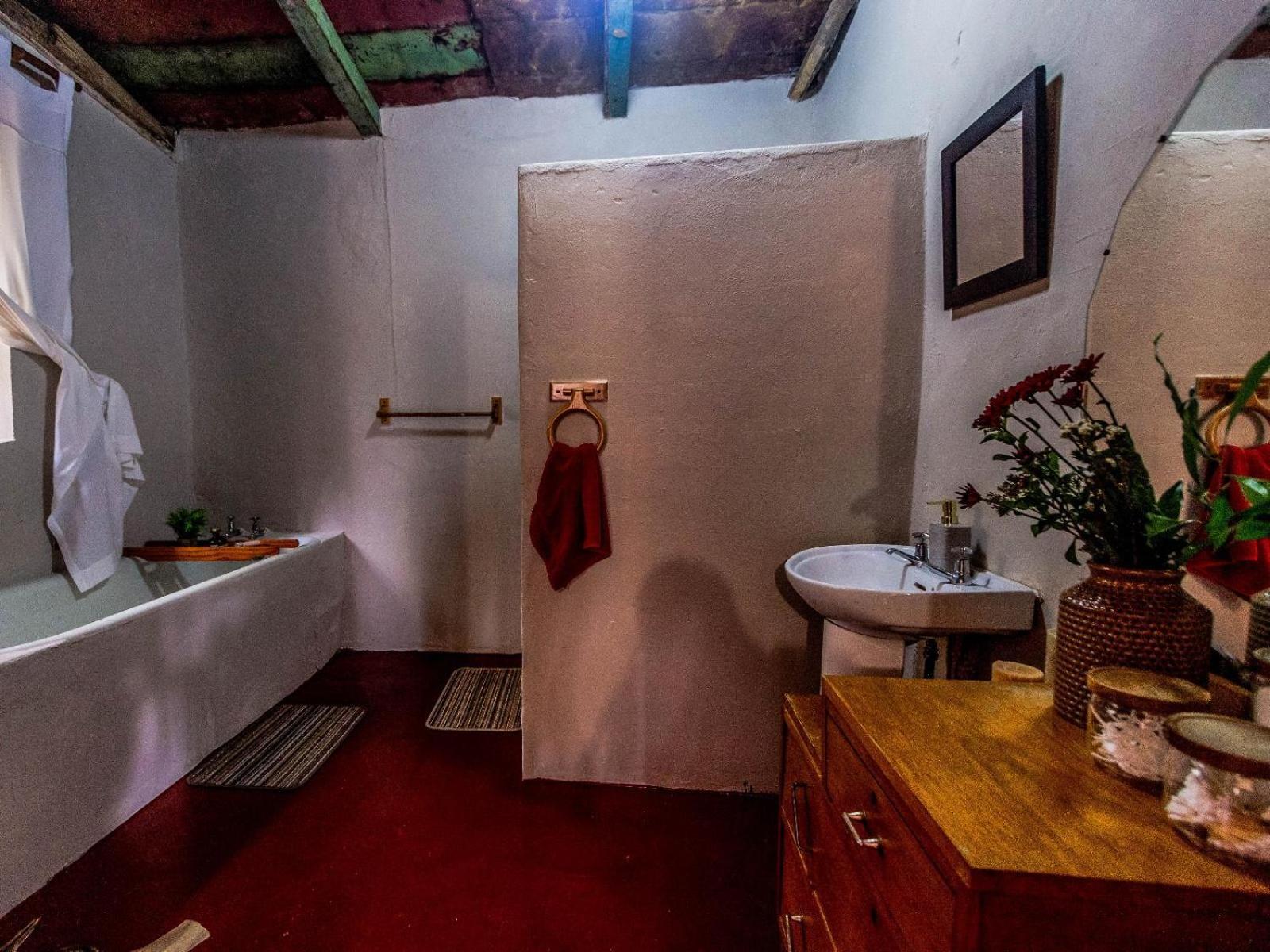Buffalo Hills Private Game Reserve 해리스미스 객실 사진