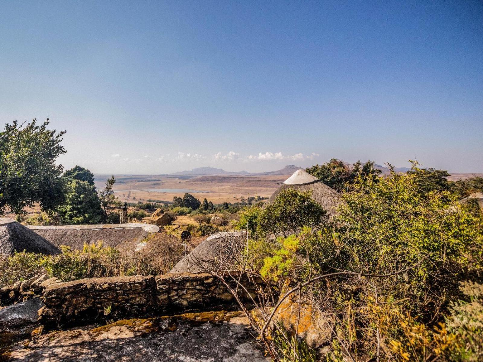 Buffalo Hills Private Game Reserve 해리스미스 객실 사진